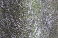 Inveruglass fibreglass roof work